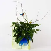 FEATHERS-N-BLOOM