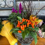 Harvest Blessings