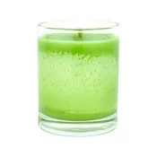 Absinthe at Midnight 2.5oz Soy Candle in Glass