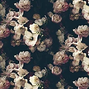 Dutch Love Dark Floral Wallcovering