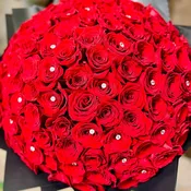 50 red rose buchon