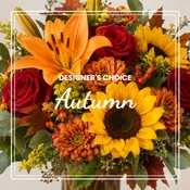 Fall Designers Choice