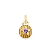 Foundation | February Birthday Starstone Petite Medallion | Amethyst, Yellow Gold