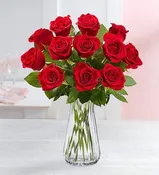 12-Roses-3 Options