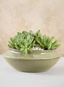 10.5in Wide Moss Green Glaze Ceramic Ikebana Bowl