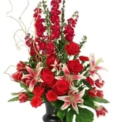 Balanced Dignity Sympathy Urn