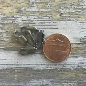 12x5mm Lobster 5ct