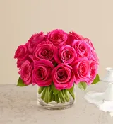 Contemporary Hot Pink Roses