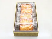APPLE FINANCIER