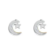 Celestial Stud Earring