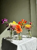 Bud Vase Bundle — Les' Blooms Floral