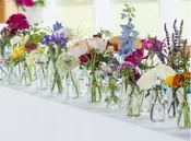 Vintage Bottles — The Exotic Green Garden