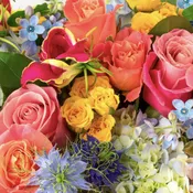 Designer's Choice - Seasonal Mix