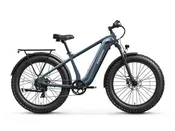 Beagle 2 Ebike