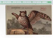 Buffalo New York Borazine Soap Ad Long Eared Owl Trade Card AA114560