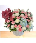 ADORATION: PINK, WHITE AND BLUE
