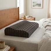 Forma Noir Organic Latex Pillow