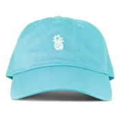 Next Level Cap