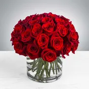 ***SPECIAL*** limited quantities available! Three Dozen Red Roses