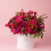 Hot Pink Oasis