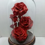 red rose forever # 5