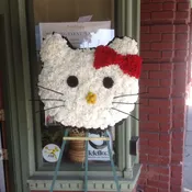 Hello Kitty - Sym-133