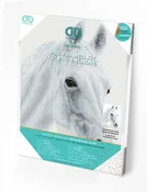 Arabian Beauty Pre-Framed Kit