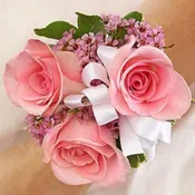 Pink Corsage