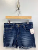 16 Joe's Shorts