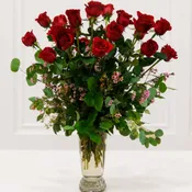 2 Dozen Roses Arranged (Any Color)