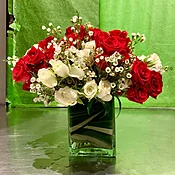 Red & White Delight