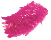 BARRED STRUNG NECK HACKLE. FL. PINK