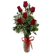 Six Long Stem Roses in Vase