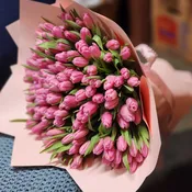 JUST TULIPS