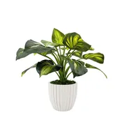 23" Faux Hosta in a Stone Wash White Tapered Ceramic