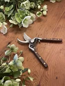 Garden Shears — Sag Harbor Florist