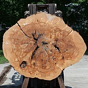 Ash Slab No. 1165