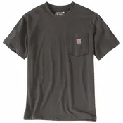 Carhartt Irvne Relaxed Bison T-Shirt