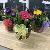 Fresh baskets