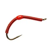 Wire Worm