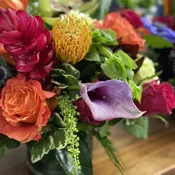 Designer's Choice Tropical Twist
