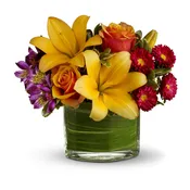 Teleflora's Blossoms of Joy
