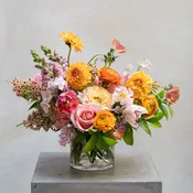 Muse — Urban Botanica