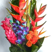 Medium Tropical With Blue Orchids & 1/2 Dozen Roses FS17