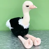 Betty the Ostrich