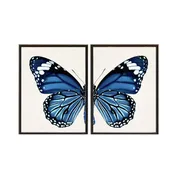 Antique Curiosities Inc - Diptych Navy Butterfly