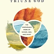 Beholding the Triune God: The Inseparable Work of Father, Son, and Spirit
