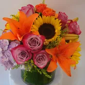 Loving Fall - W638