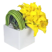 AF 200-15 Yellow Calla Lilies In Modern White Ceramic Cube Vase Floral Arrangement