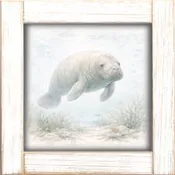 12x12 Manatee Swimming  A-22-644-112